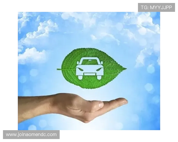 新濠国际在环境可持续发展方面的实践与责任担当，为推动行业绿色转型树立典范